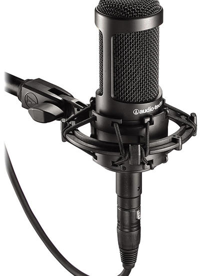 AT2035 Cardioid Condenser Microphone | Gotham Sound