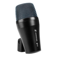 e 902 Instrument Mic